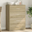 skab 60x31x84 cm konstrueret træ røget egetræsfarve