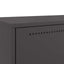 skab 68x39x111,5 cm stål sort