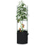 espalierer med planteposer 4 stk. 116 cm stål og PP