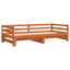 daybed med udtræk 90x200 cm massivt fyrretræ gyldenbrun