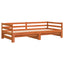 daybed med udtræk 80x200 cm massivt fyrretræ gyldenbrun