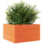 plantekasse 80x80x45,5 cm massivt fyrretræ gyldenbrun