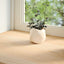 vindueskarme 2 stk ubehandlet 90x20x2 cm massivt egetræ
