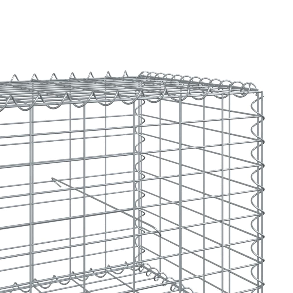 gabionkurv med cover 300x100x50 cm galvaniseret jern
