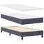 Box spring seng med hovedgærde Mørkegrå 100 x 200 cm Fløjl