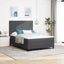 LED Box Spring Bed Mørkegrå og Hvid 140 x 200 cm Velourstof