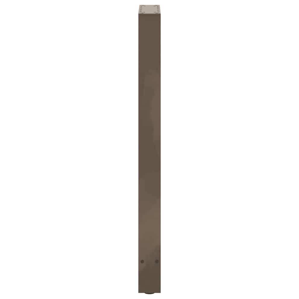 barbordsben naturstål 2 stk. 50x(100-101) cm stål