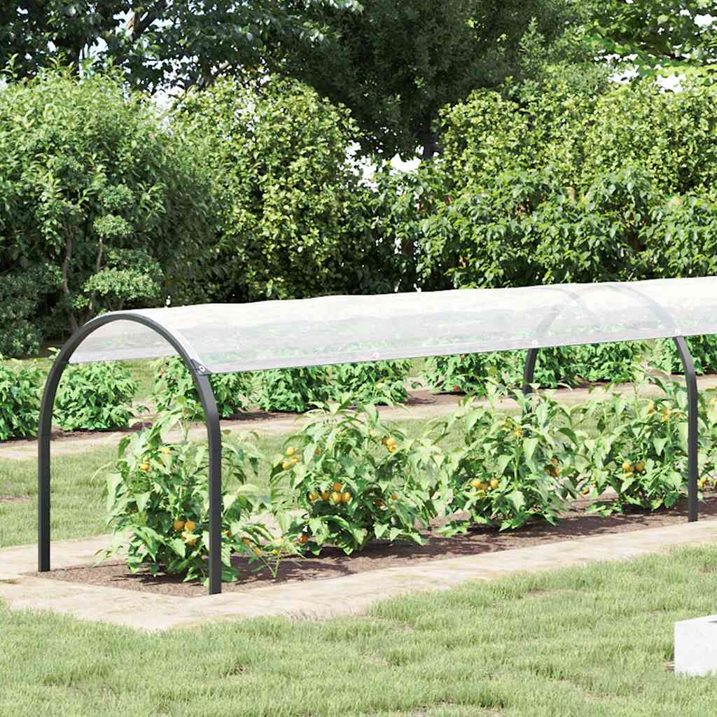 klar presenning med øjer 1x12 m polyethylen