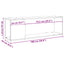 tv-bord 100x24x32 cm konstrueret træ kunsteg