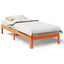 sengeramme uden madras 80x200 cm massivt fyrretræ gyldenbrun