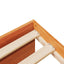 daybed uden madras 100x200 cm massivt fyrretræ gyldenbrun