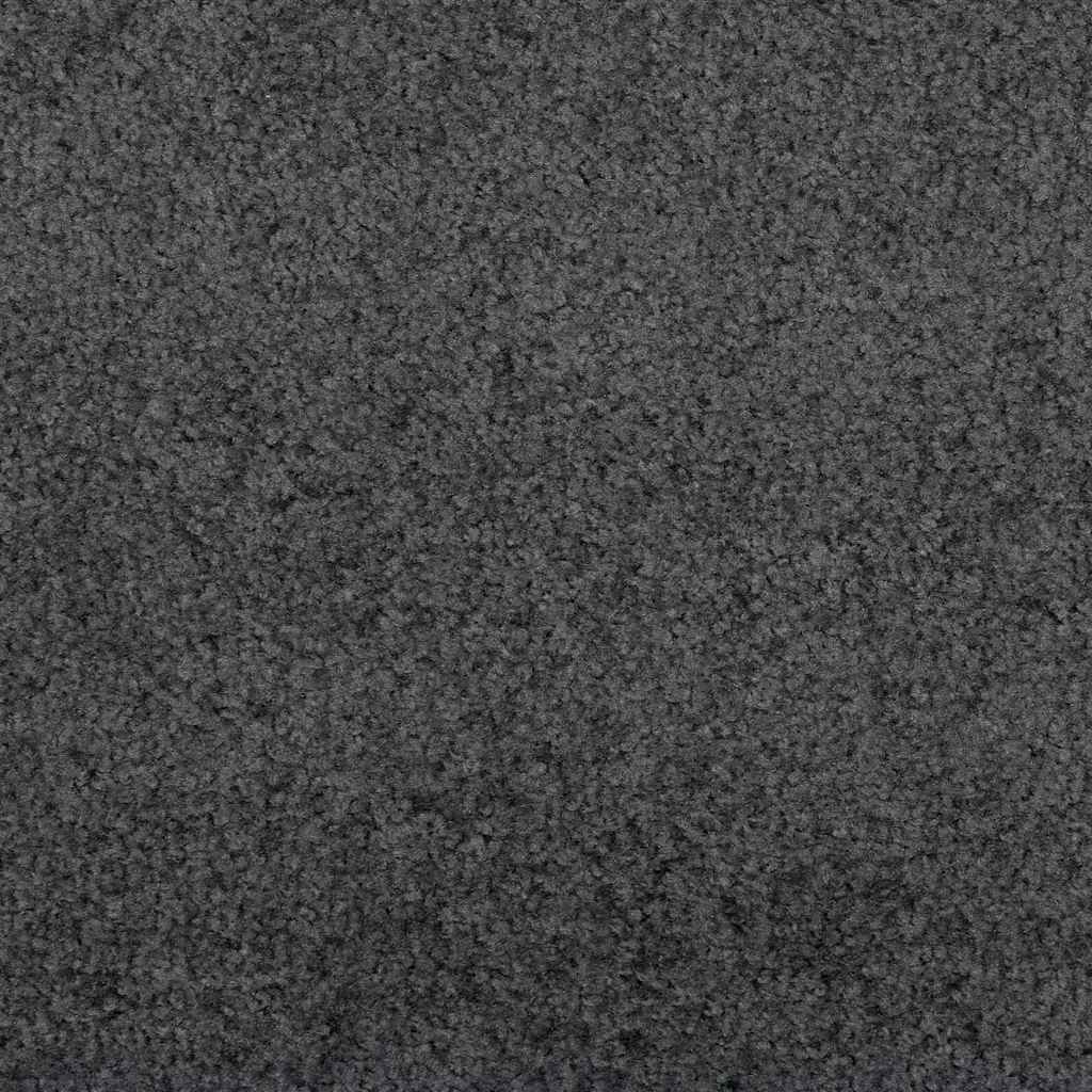 Dørmåtte Andet Anthracit og sort 120 x 250 cm Polyamid og PVC