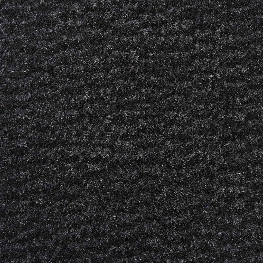 Dørmåtte Sort 90x120 cm