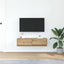TV-skab 100 x 31 x 25,5 cm artisan eg Konstrueret træ
