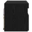 TV-skab 60 x 35 x 40 cm Sort eg Konstrueret træ