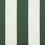 Markiseramme Grøn og Hvid 300 x 250 cm