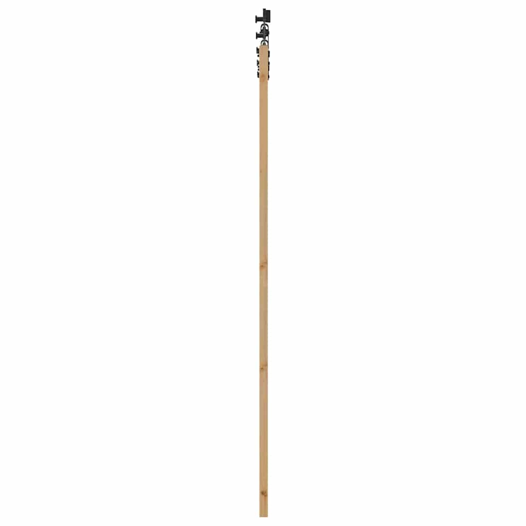 Skydedør ORKDAL 93 x 211 cm Massivt fyrretræ og glas