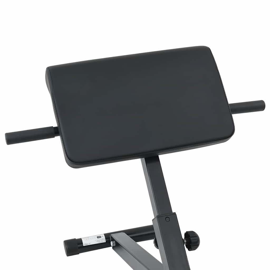 Hyperextension bænk Sort 100,5 x 70 x 78 cm Pulverlakeret stål