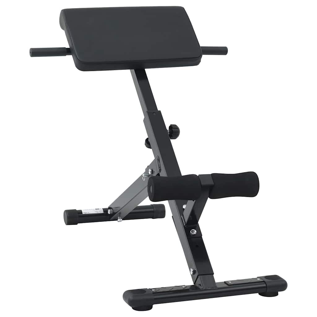 Hyperextension bænk Sort 100,5 x 70 x 78 cm Pulverlakeret stål