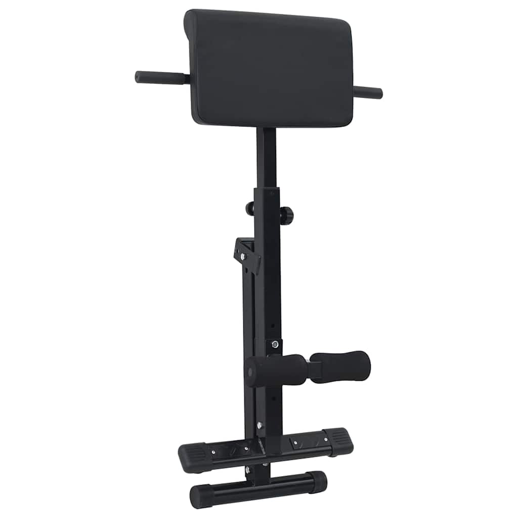Hyperextension bænk Sort 100,5 x 70 x 78 cm Pulverlakeret stål