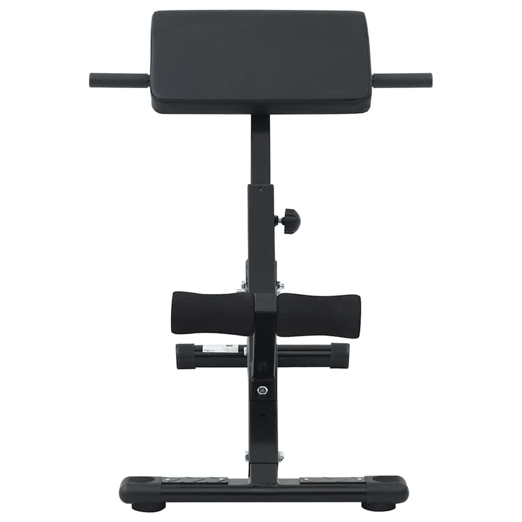 Hyperextension bænk Sort 100,5 x 70 x 78 cm Pulverlakeret stål