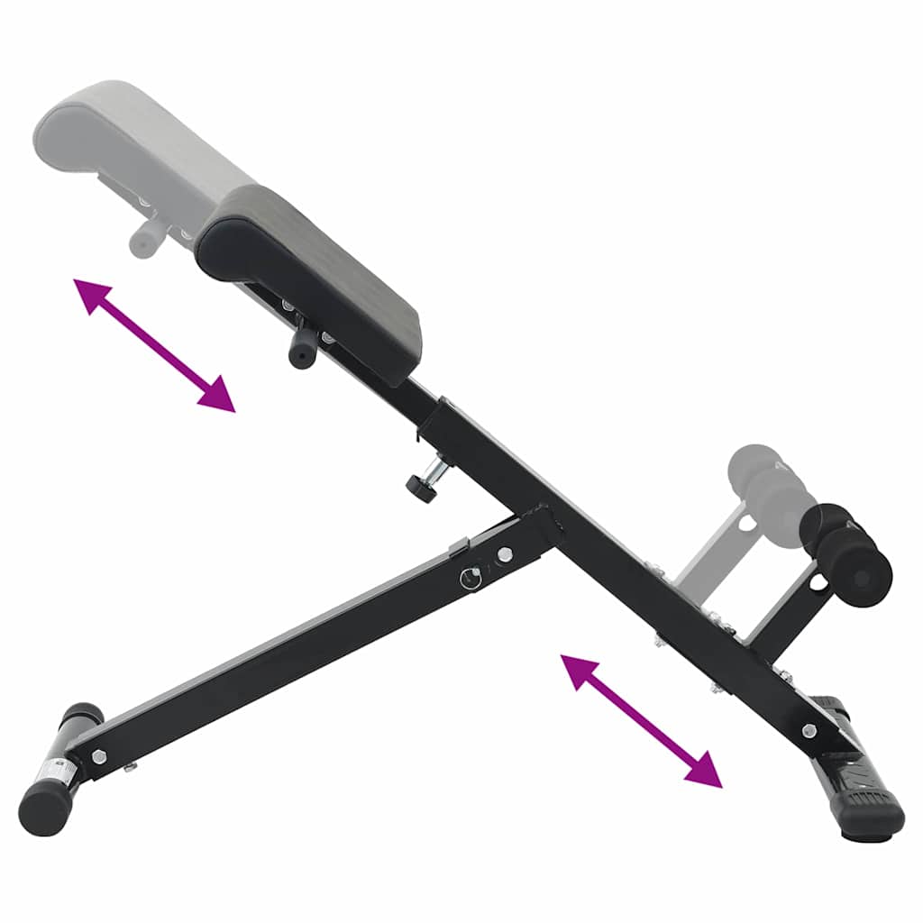 Hyperextension bænk Sort 100,5 x 70 x 78 cm Pulverlakeret stål