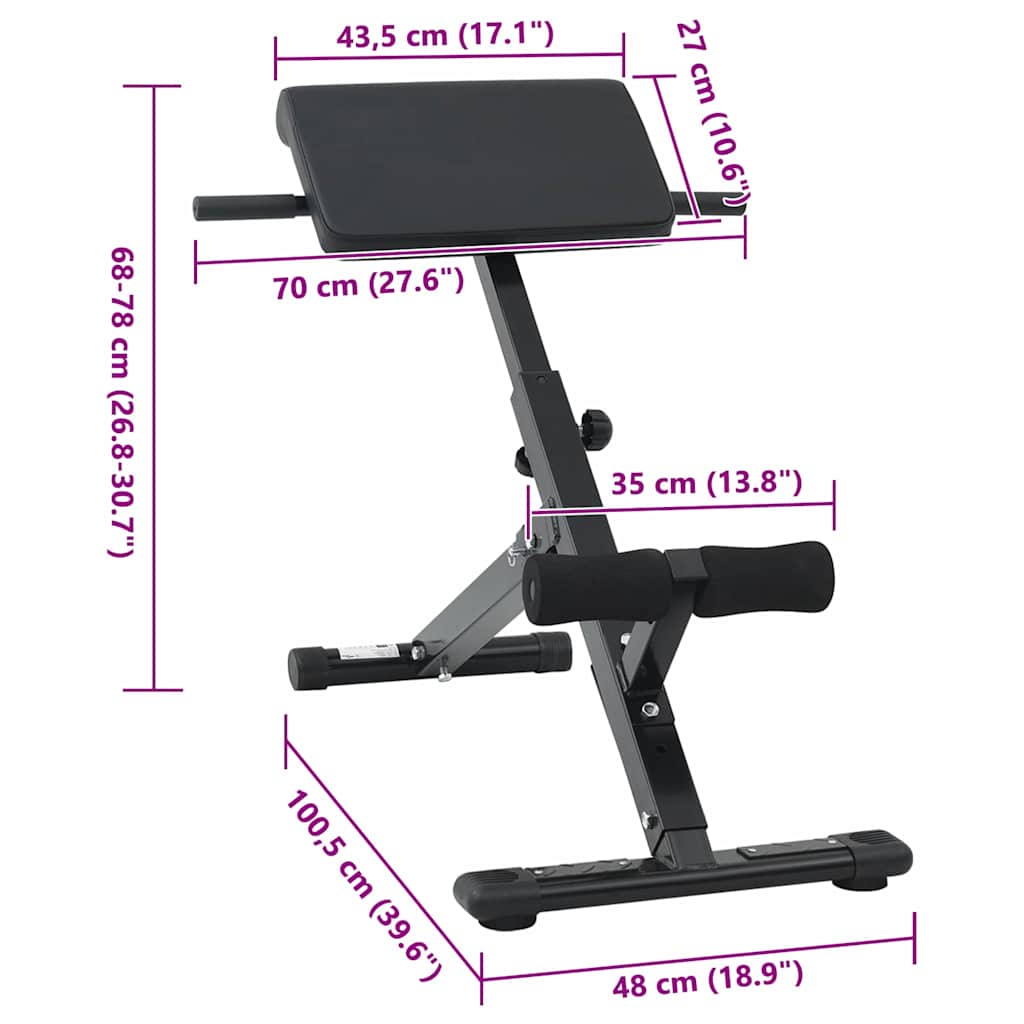 Hyperextension bænk Sort 100,5 x 70 x 78 cm Pulverlakeret stål