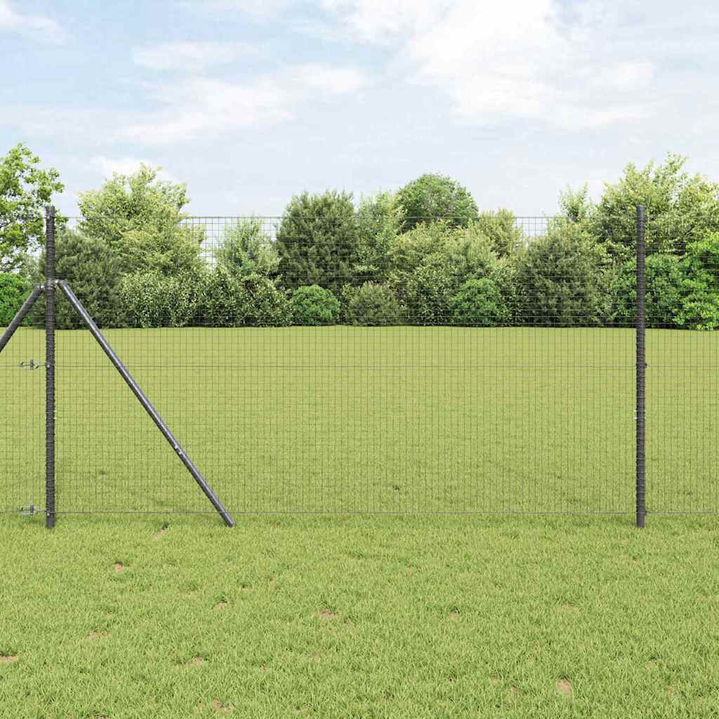 Doppelstabmattenzaun 2500 x 120 cm Grå