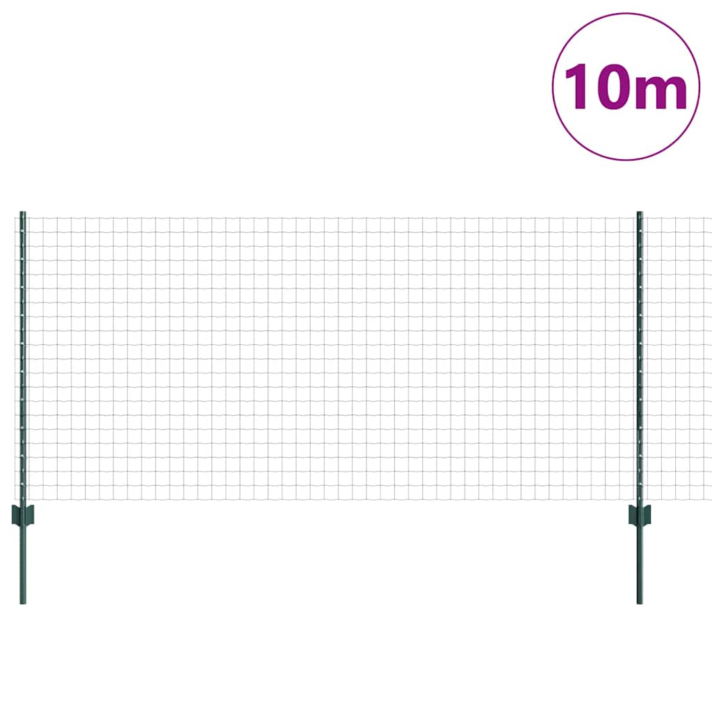 Eurohegn med stolpe 10 x 1 m PVC-belagt stål Grøn Mesh