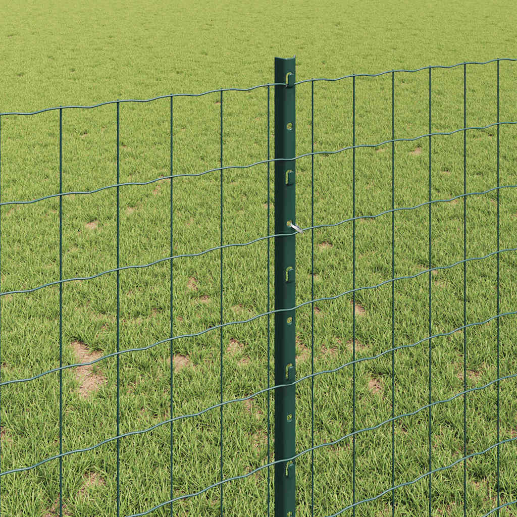 Eurohegn med stolpe 10 x 1 m PVC-belagt stål Grøn Mesh