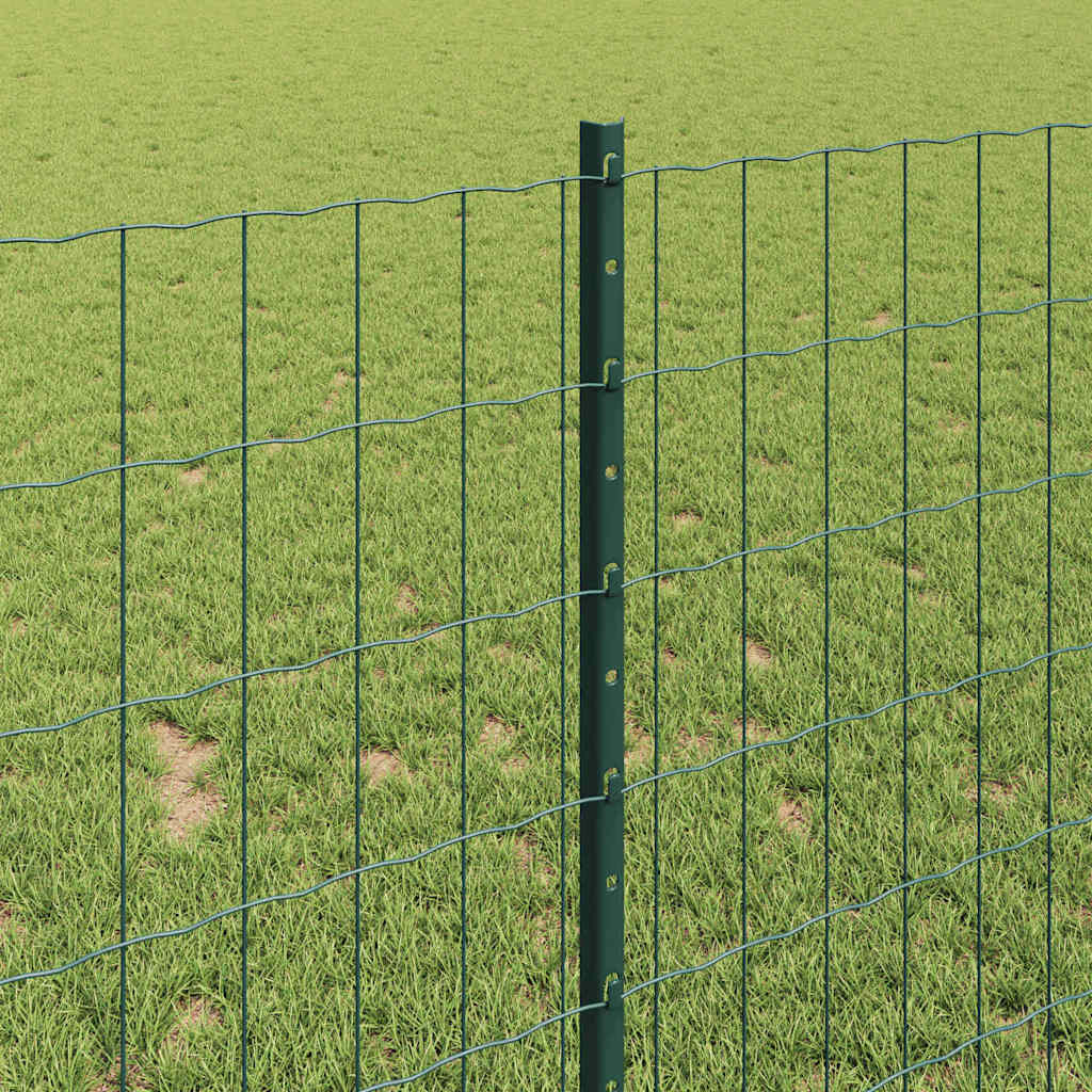 Eurohegn med stolpe 10 x 1 m PVC-belagt stål Grøn Mesh