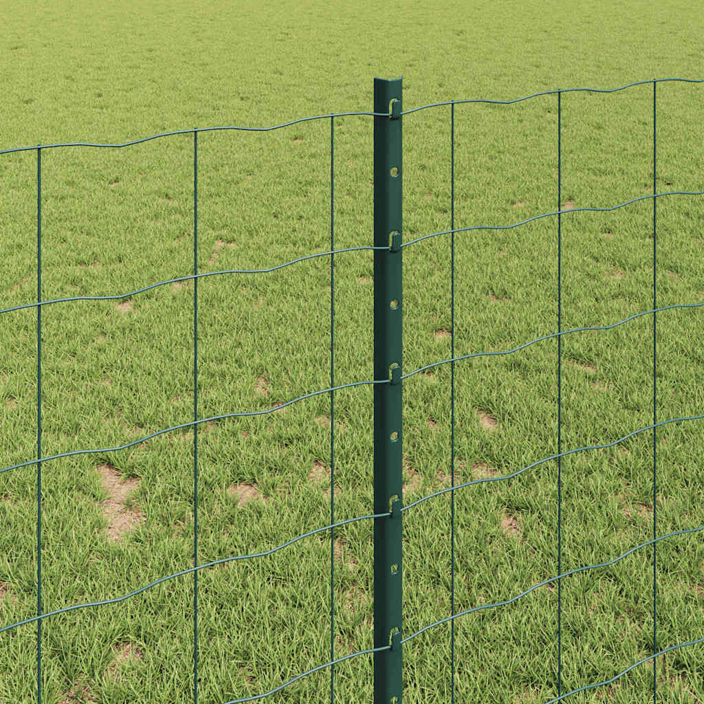 Eurohegn med stolpe 10 x 1 m PVC-belagt stål Grøn Mesh