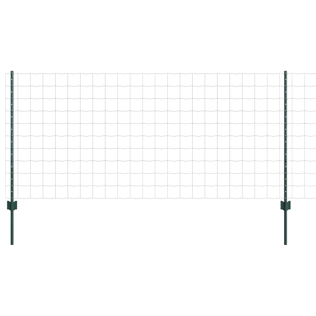 Eurohegn med stolpe 10 x 1 m PVC-belagt stål Grøn Mesh