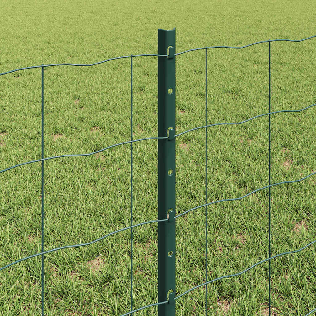 Eurohegn med stolpe 25 x 0,6 m PVC-belagt stål Grøn Mesh
