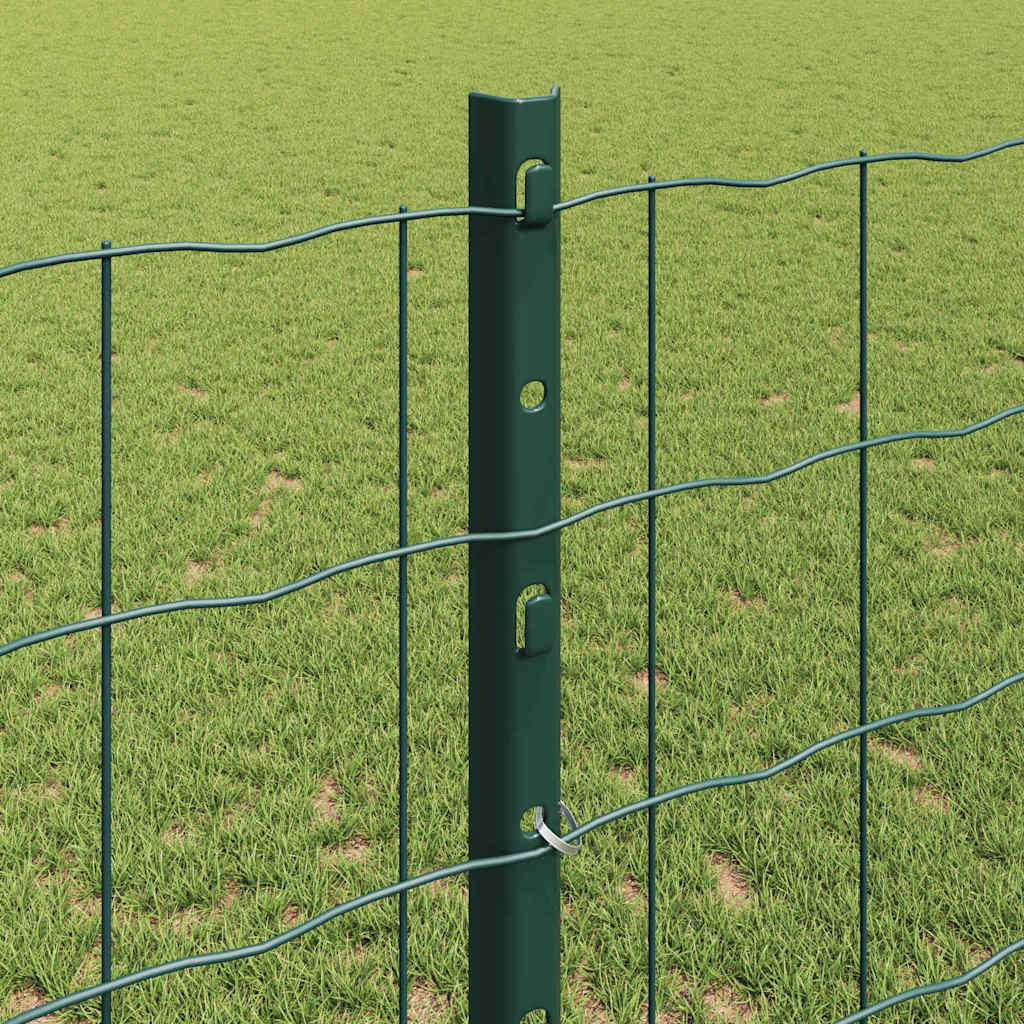 Eurohegn med stolpe 10 x 1,2 m PVC-belagt stål Grøn Mesh