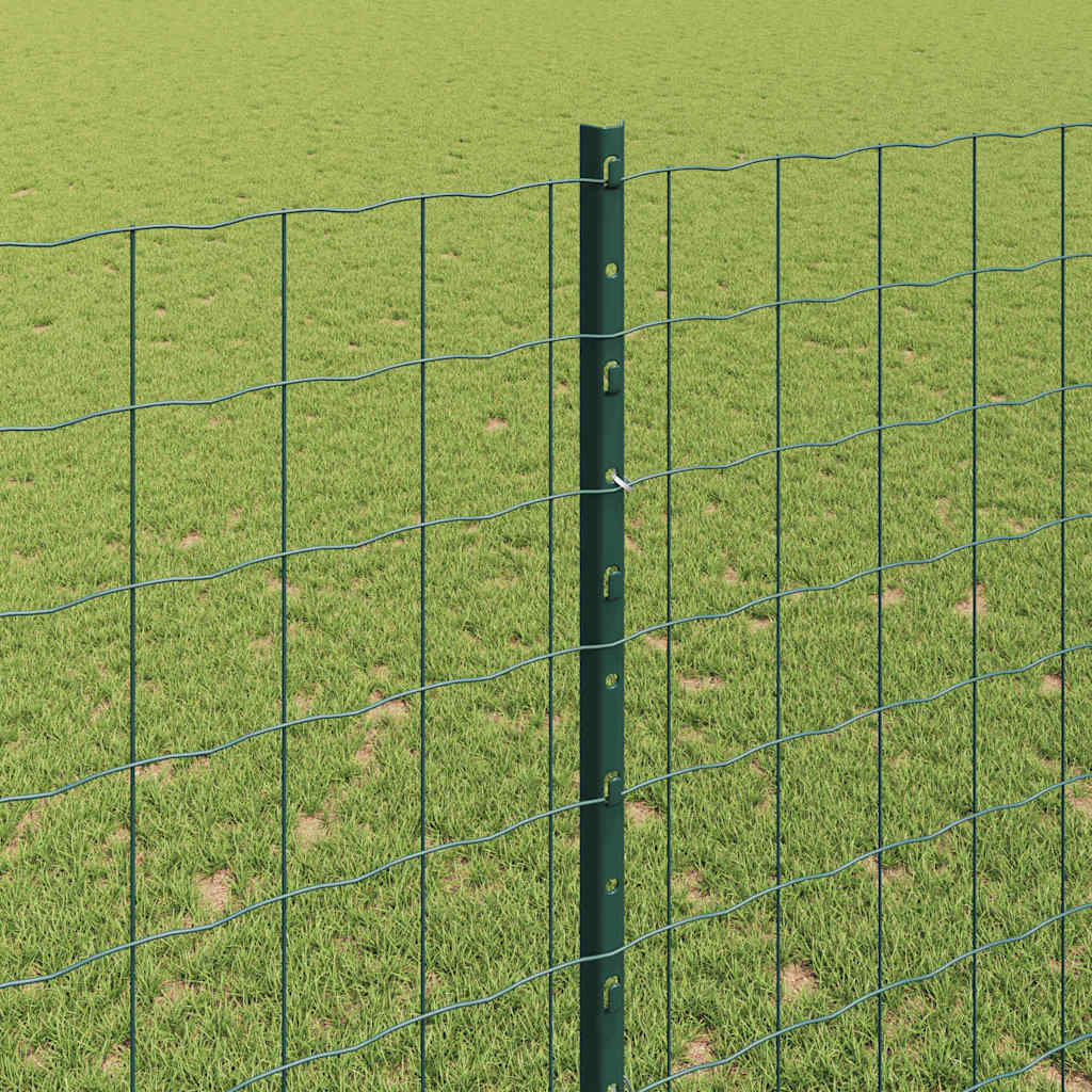 Eurohegn med stolpe 10 x 1,6 m PVC-belagt stål Grøn Mesh