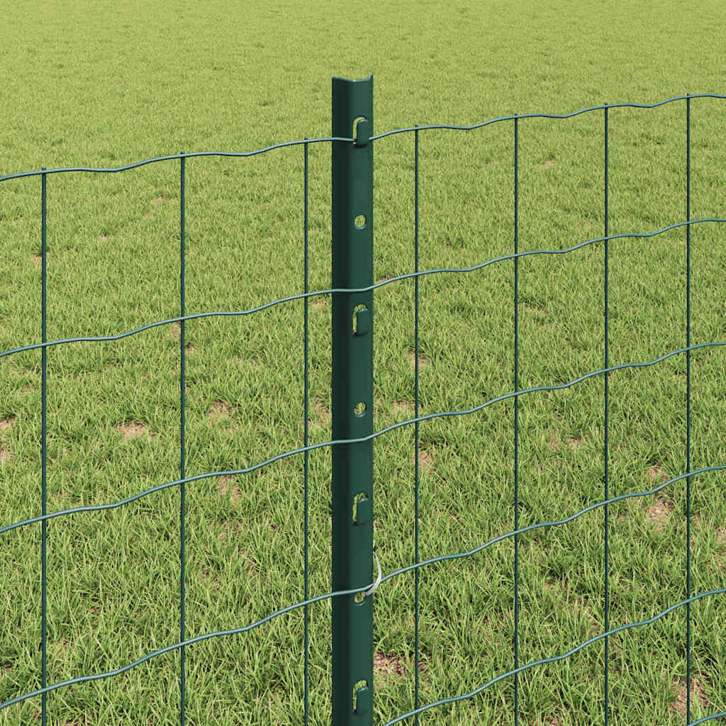 Eurohegn med stolpe 25 x 0,8 m PVC-belagt stål Grøn Mesh