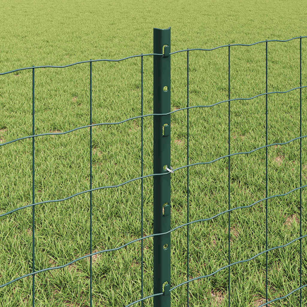 Eurohegn med stolpe 50 x 0,6 m PVC-belagt stål Grøn Mesh