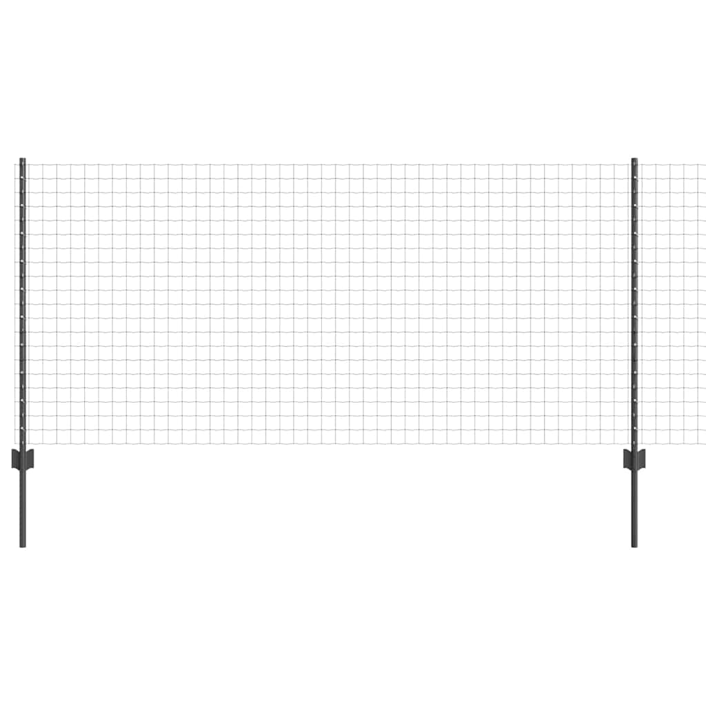 Eurohegn med stolpe 10 x 1 m PVC-belagt stål Grå Mesh