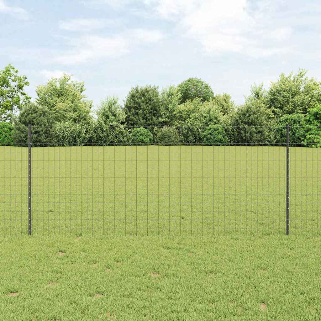 Eurohegn med stolpe 10 x 1 m PVC-belagt stål Grå Mesh