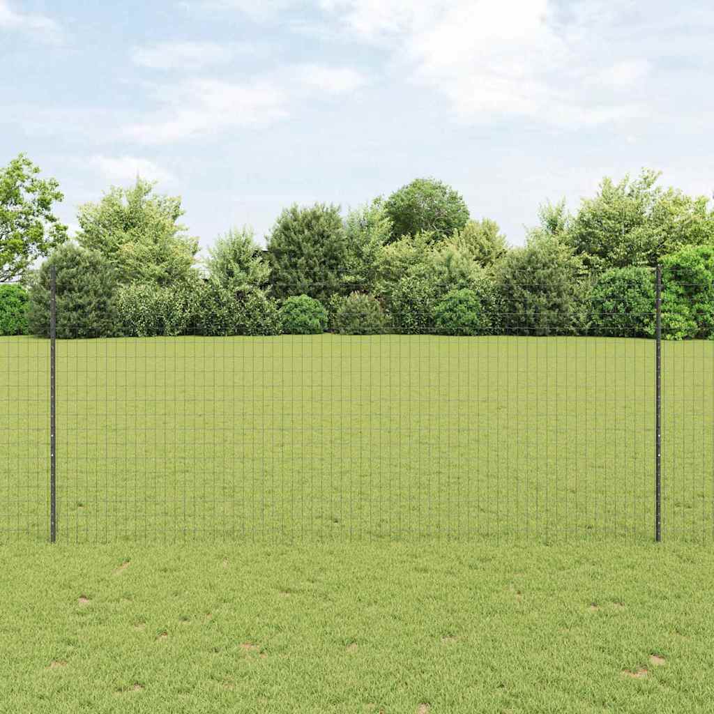 Eurohegn med stolpe 10 x 1,4 m PVC-belagt stål Grå Mesh
