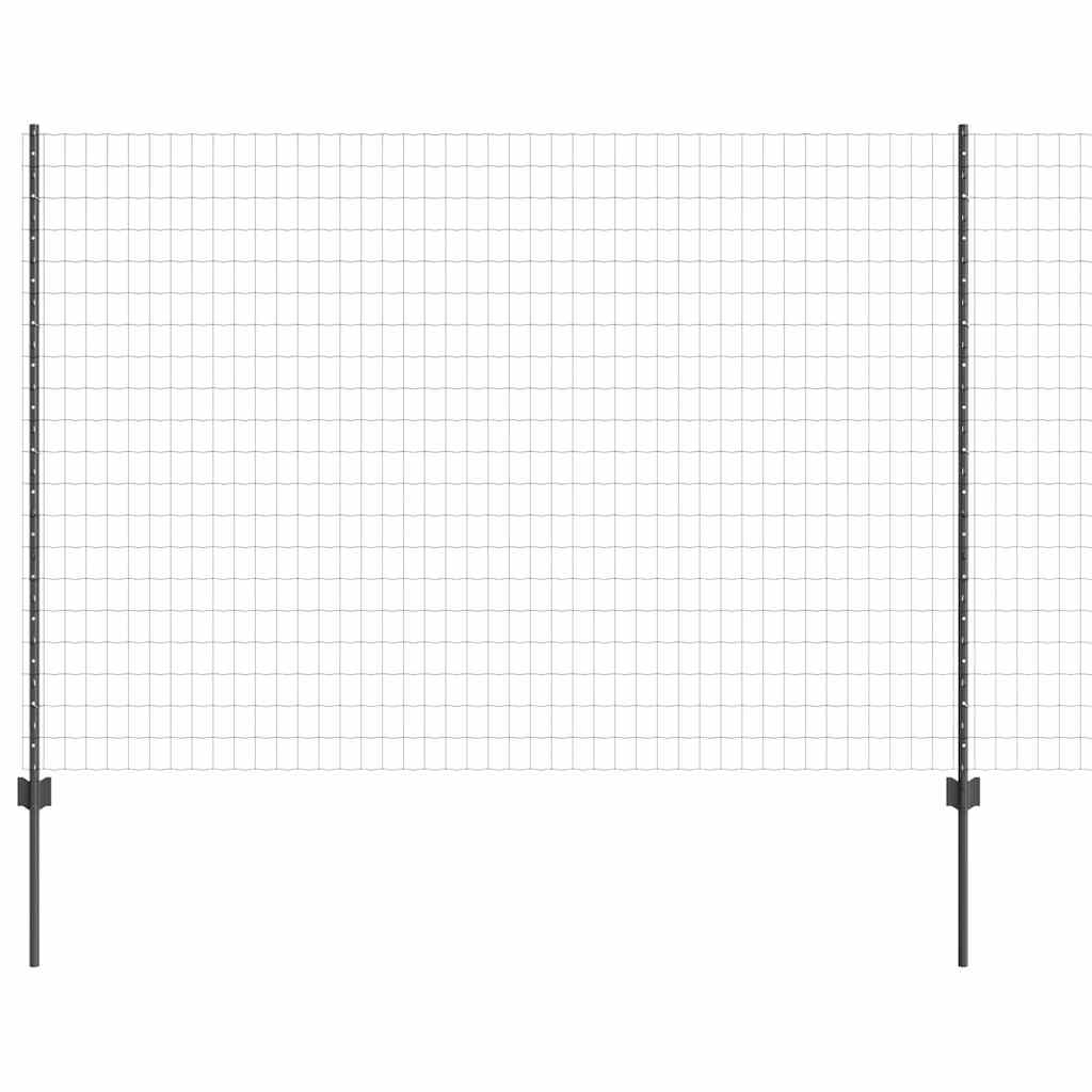 Eurohegn med stolpe 10 x 1,6 m PVC-belagt stål Grå Mesh