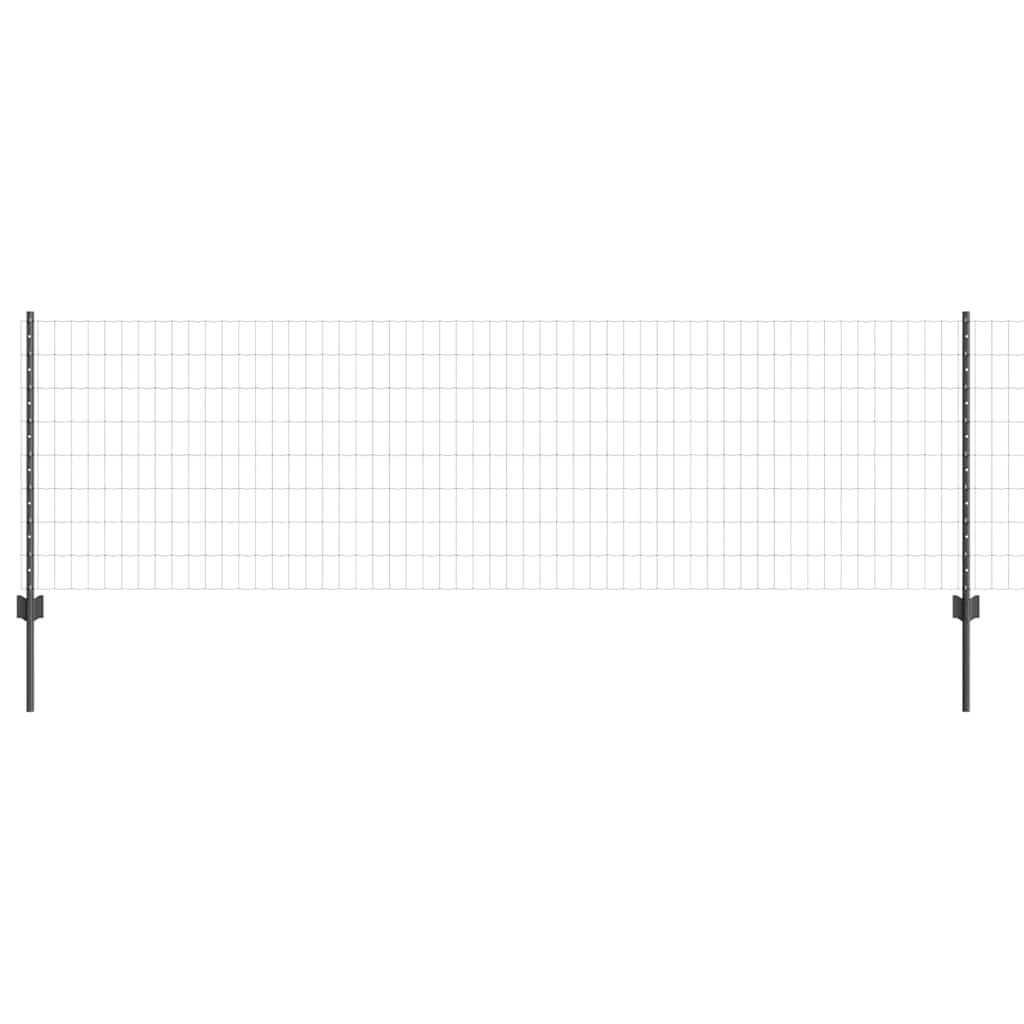 Eurohegn med stolpe 10 x 0,8 m PVC-belagt stål Grå Mesh