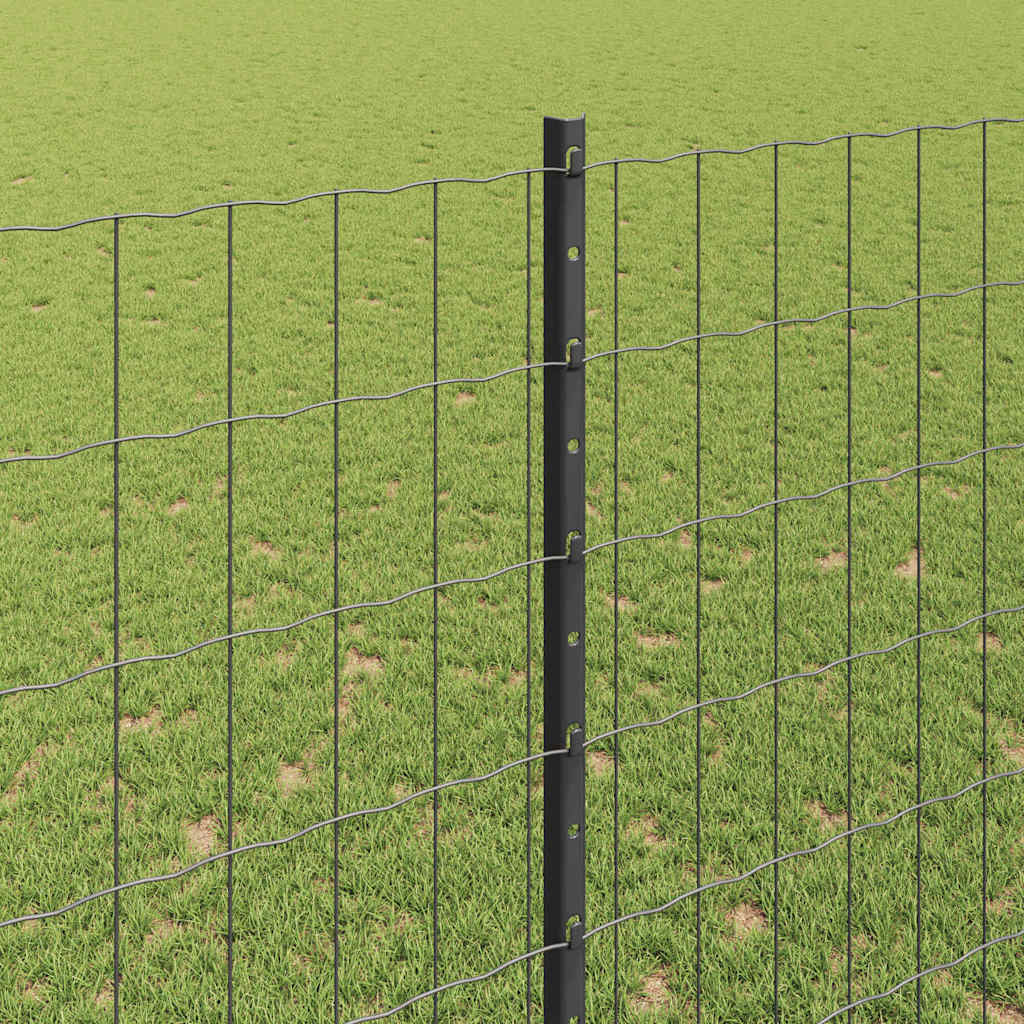 Eurohegn med stolpe 10 x 1,5 m PVC-belagt stål Grå Mesh