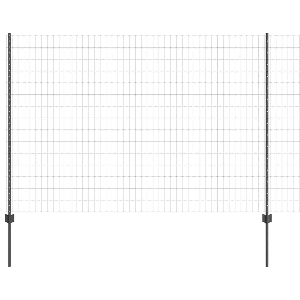 Eurohegn med stolpe 10 x 1,6 m PVC-belagt stål Grå Mesh