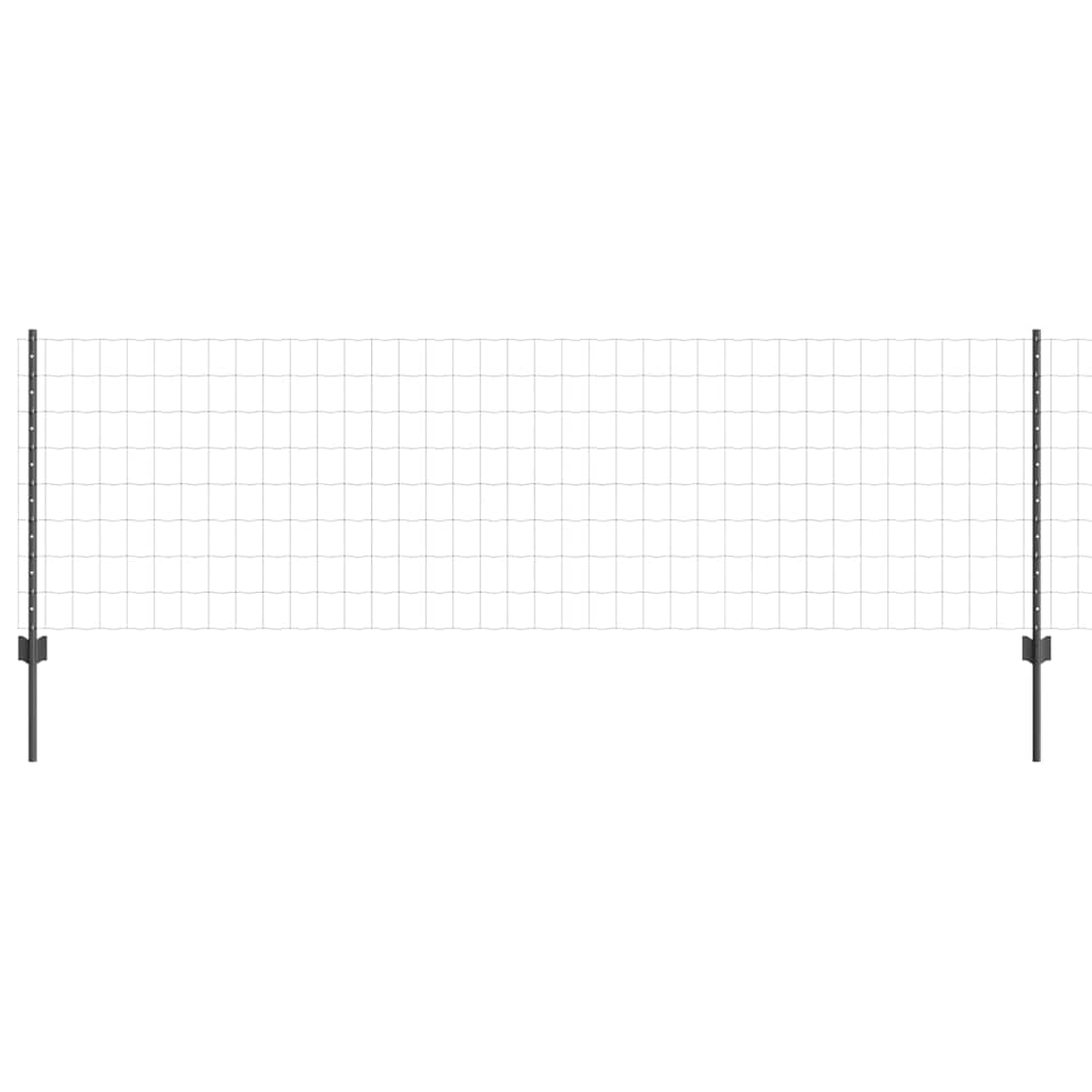 Eurohegn med stolpe 10 x 0,8 m PVC-belagt stål Grå Mesh
