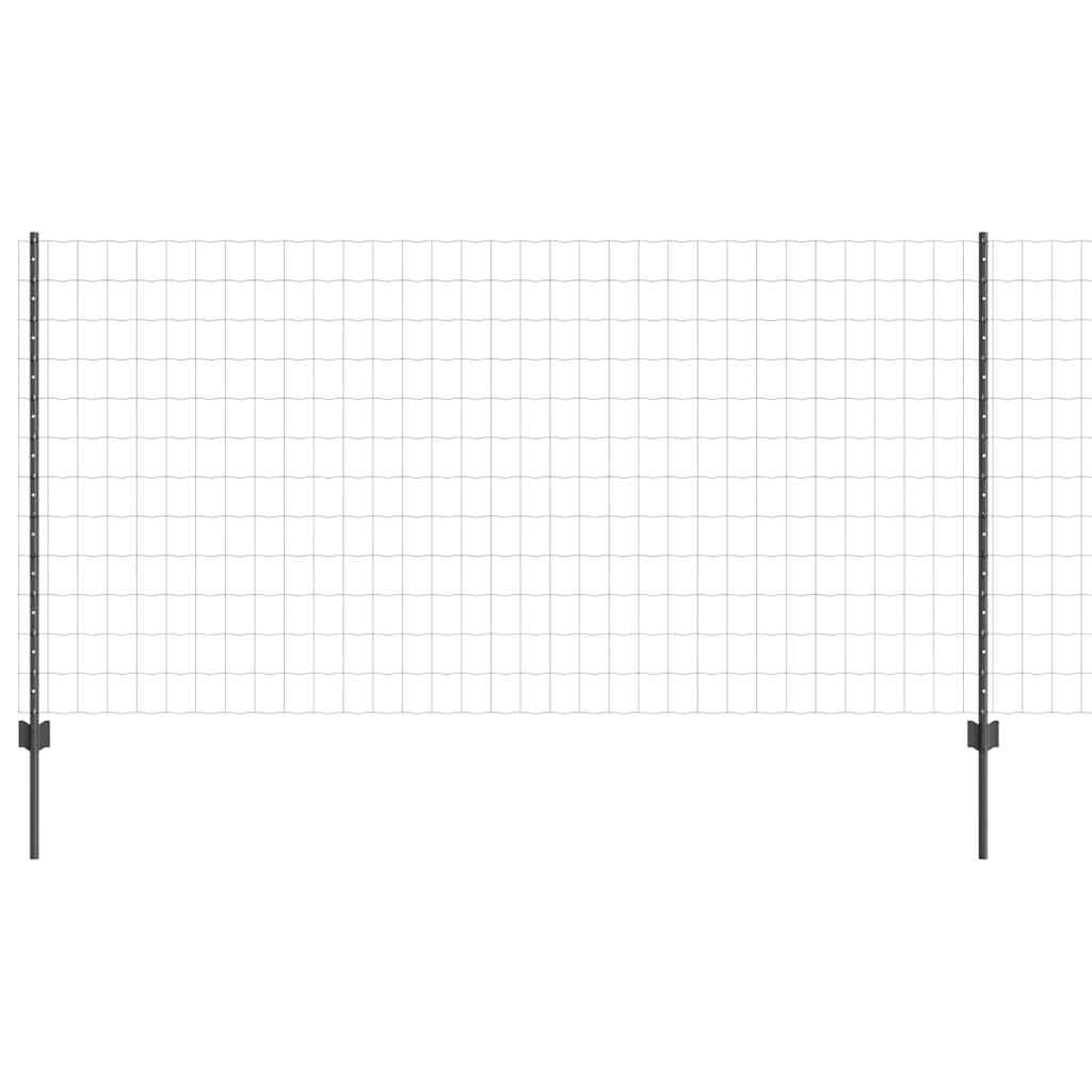 Eurohegn med stolpe 10 x 1,2 m PVC-belagt stål Grå Mesh