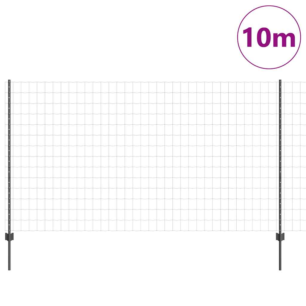 Eurohegn med stolpe 10 x 1,4 m PVC-belagt stål Grå Mesh