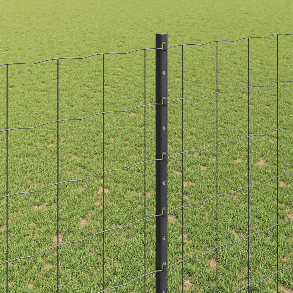 Eurohegn med stolpe 10 x 1,6 m PVC-belagt stål Grå Mesh
