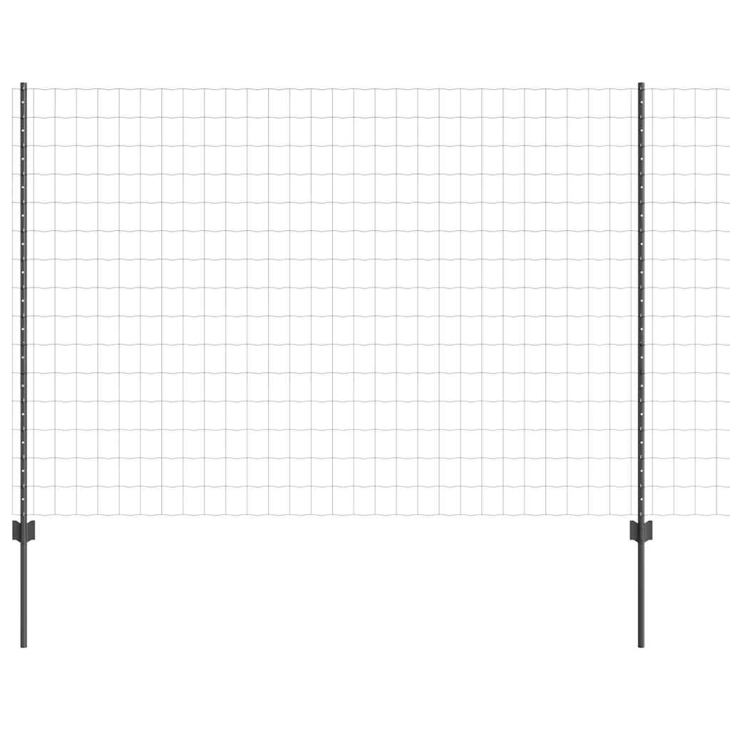 Eurohegn med stolpe 10 x 1,6 m PVC-belagt stål Grå Mesh